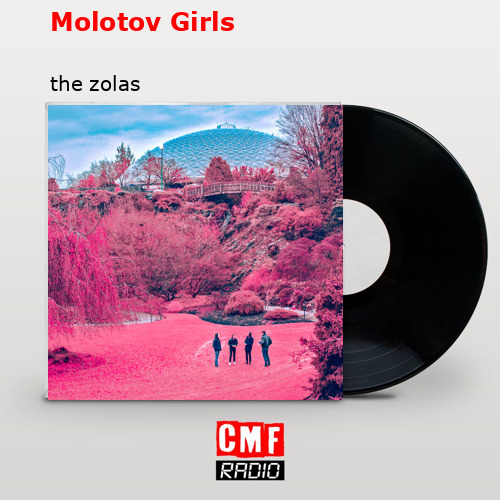 The story and meaning of the song 'Molotov Girls the zolas