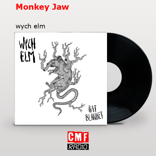Monkey Jaw – wych elm
