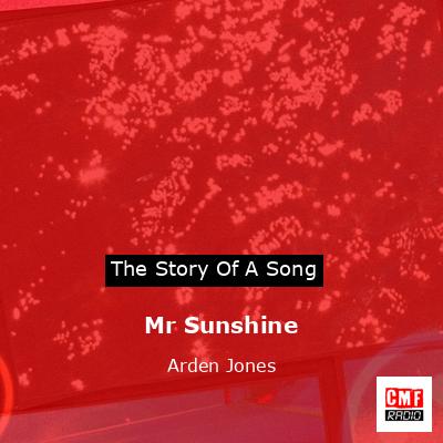 final cover Mr Sunshine Arden Jones