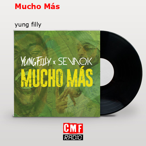 Mucho Más – yung filly