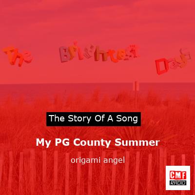 My PG County Summer – origami angel