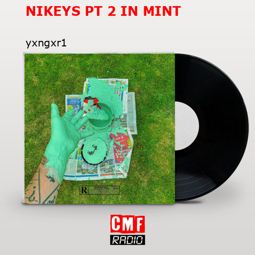 NIKEYS PT 2 IN MINT – yxngxr1
