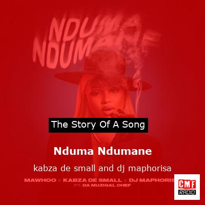 Nduma Ndumane – kabza de small and dj maphorisa