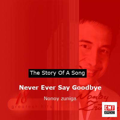 Never Ever Say Goodbye – Nonoy zuniga