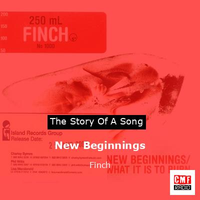 New Beginnings – Finch