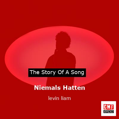 Niemals Hatten – levin liam
