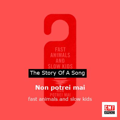 Non potrei mai – fast animals and slow kids