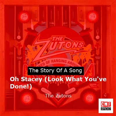 Oh Stacey (Look What You’ve Done!) – The Zutons