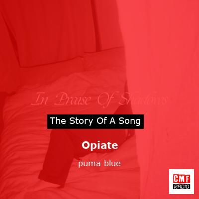 Opiate – puma blue