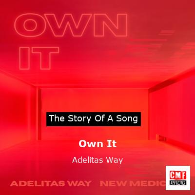 final cover Own It Adelitas Way
