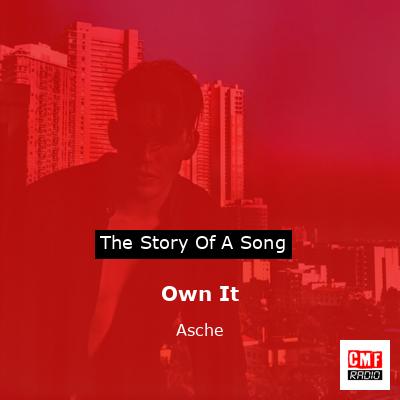 Own It – Asche