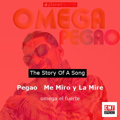 The story and meaning of the song Pegao Me Miro y La Mire omega