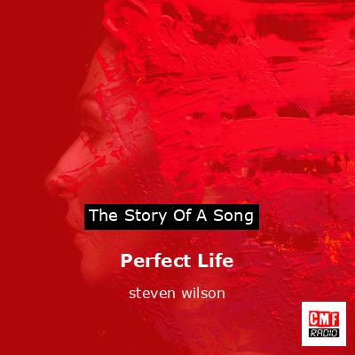 Perfect Life – steven wilson