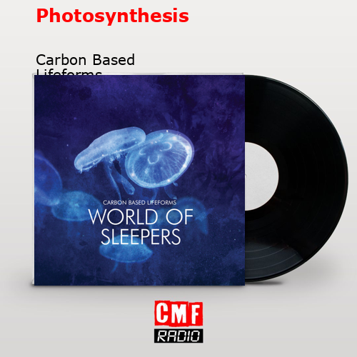 Photosynthesis – Carbon Based Lifeforms
