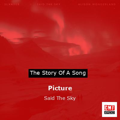 Picture – Said The Sky