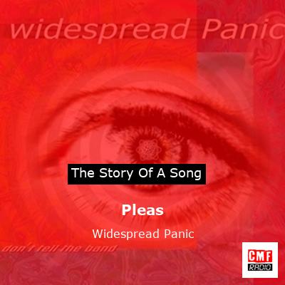 Pleas – Widespread Panic