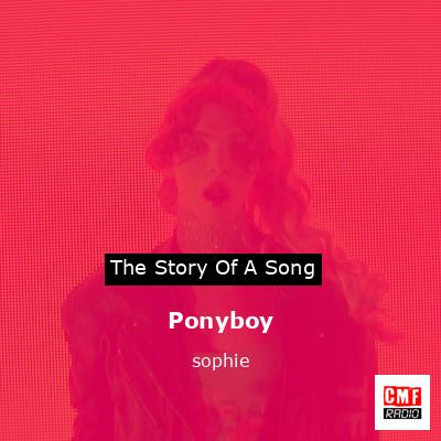 Ponyboy – sophie