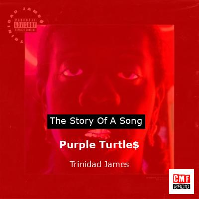 Purple Turtle$ – Trinidad James