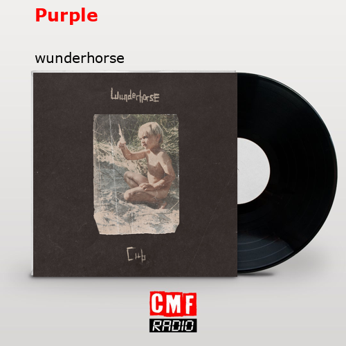 final cover Purple wunderhorse