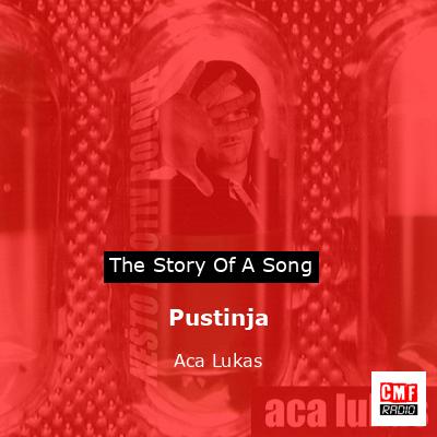 final cover Pustinja Aca Lukas