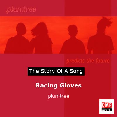 Racing Gloves – plumtree