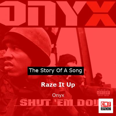 final cover Raze It Up Onyx