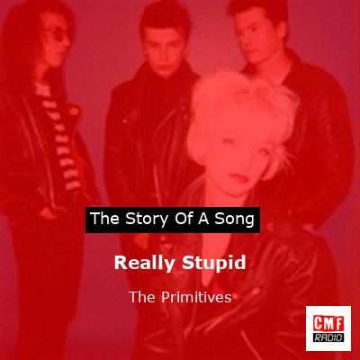 Really Stupid – The Primitives