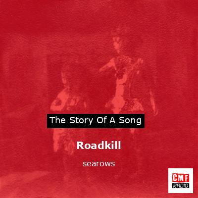 Roadkill – searows