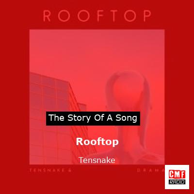 Rooftop – Tensnake
