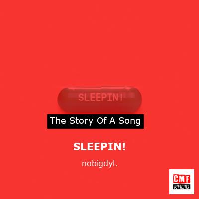 SLEEPIN! – nobigdyl.