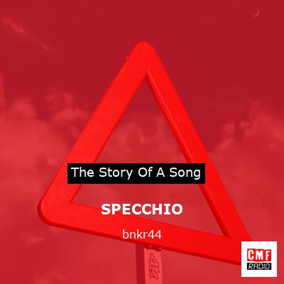SPECCHIO – bnkr44