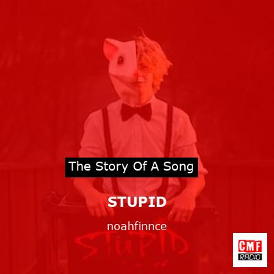 STUPID – noahfinnce