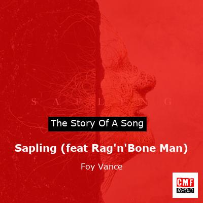 Sapling (feat Rag’n’Bone Man) – Foy Vance