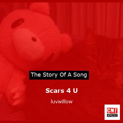 final cover Scars 4 U luvwillow