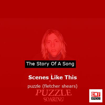 Scenes Like This – puzzle (fletcher shears)