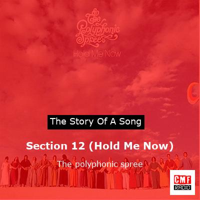 Section 12 (Hold Me Now) – The polyphonic spree