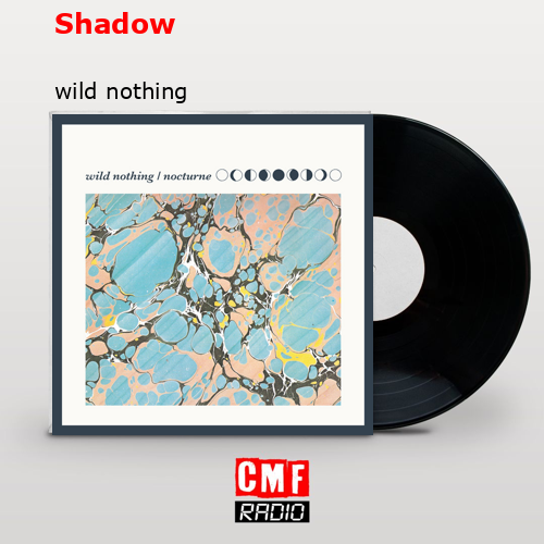 Shadow – wild nothing