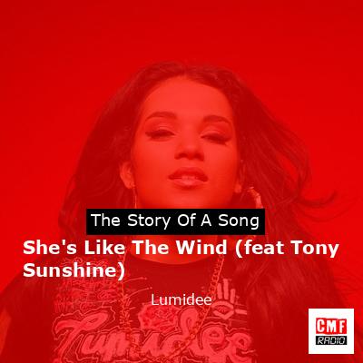 final cover Shes Like The Wind feat Tony Sunshine Lumidee