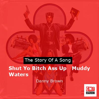 Shut Yo Bitch Ass Up   Muddy Waters – Danny Brown