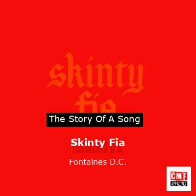 Skinty Fia – Fontaines D.C.