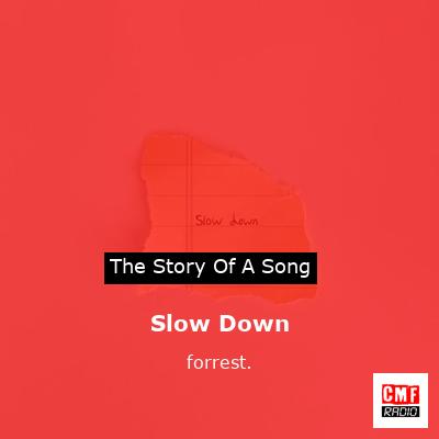 final cover Slow Down forrest
