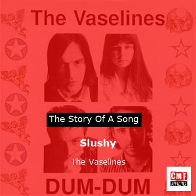 Slushy – The Vaselines