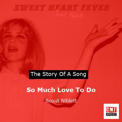 So Much Love To Do – Scout Niblett
