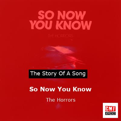 So Now You Know – The Horrors