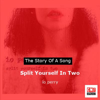 Split Yourself In Two – io perry