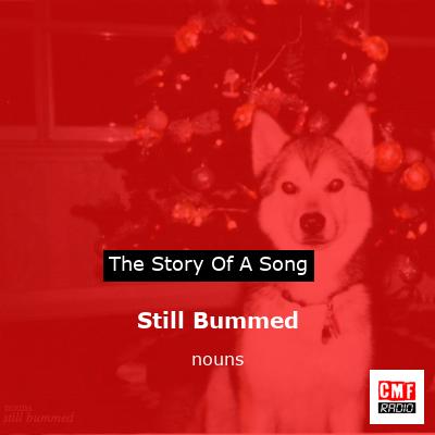 Still Bummed – nouns