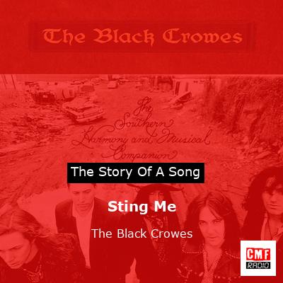 final cover Sting Me The Black Crowes