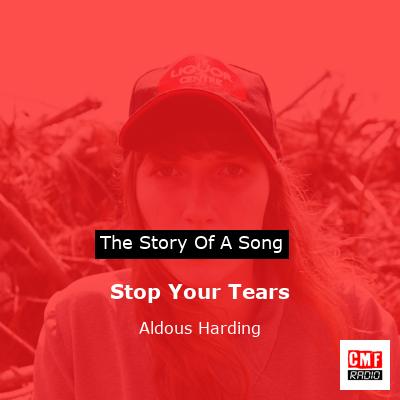 Stop Your Tears – Aldous Harding