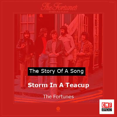 Storm In A Teacup – The Fortunes