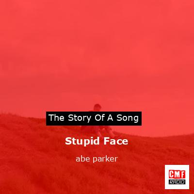 Stupid Face – abe parker
